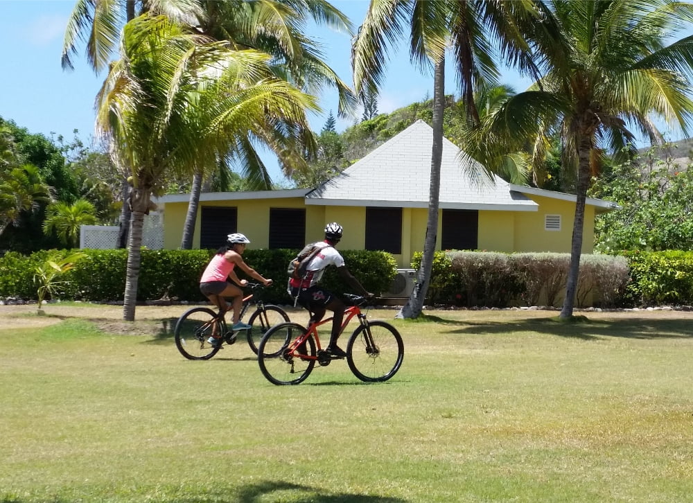 20 Ways to Enjoy Nevis 20 Ways to Enjoy Nevis