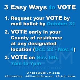 Caribbean vote - Ways to vote in South Florida