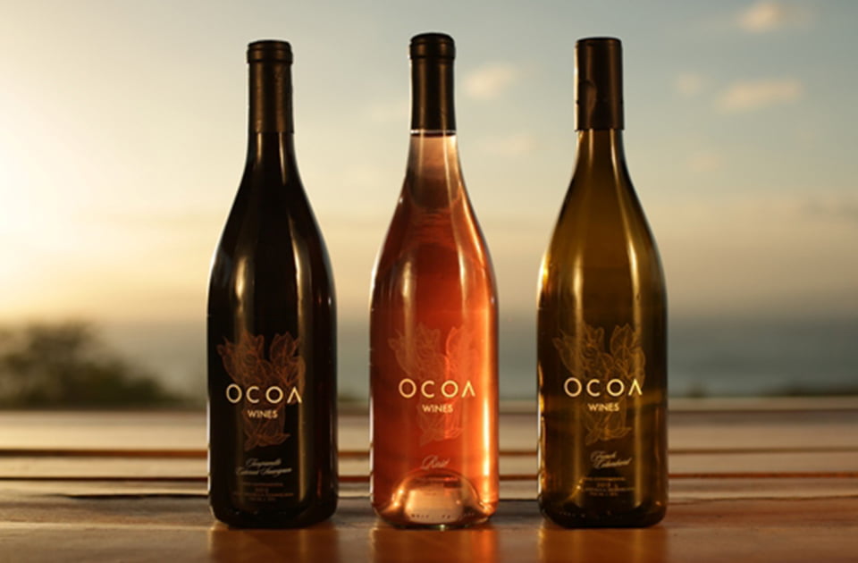 Tasting the rare native Caribbean Wines Tasting the rare native Caribbean Wines