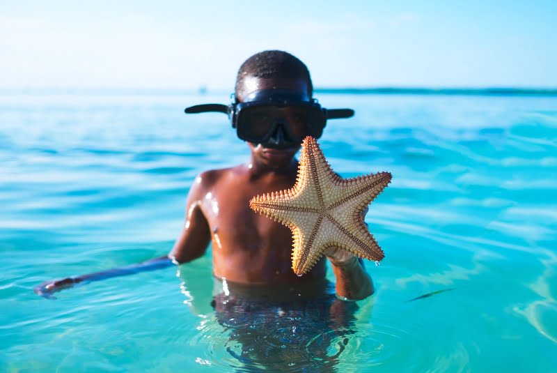The Ultimate Caribbean Travel Guide for Your Dream Vacation The Ultimate Caribbean Travel Guide for Your Dream Vacation
