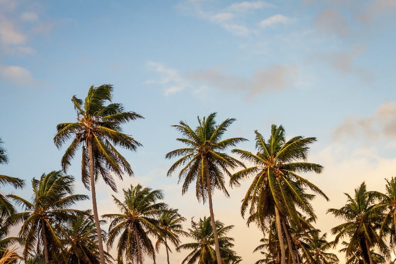 The Ultimate Caribbean Travel Guide for Your Dream Vacation The Ultimate Caribbean Travel Guide for Your Dream Vacation